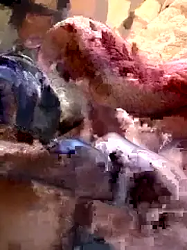 26menny74 online show from November 7, 12:15 am