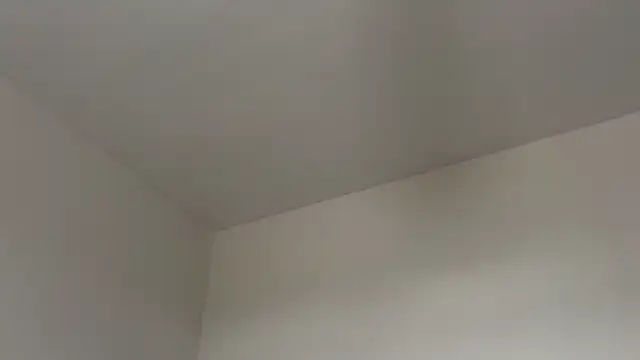 skyejde online show from February 12, 2:17 pm