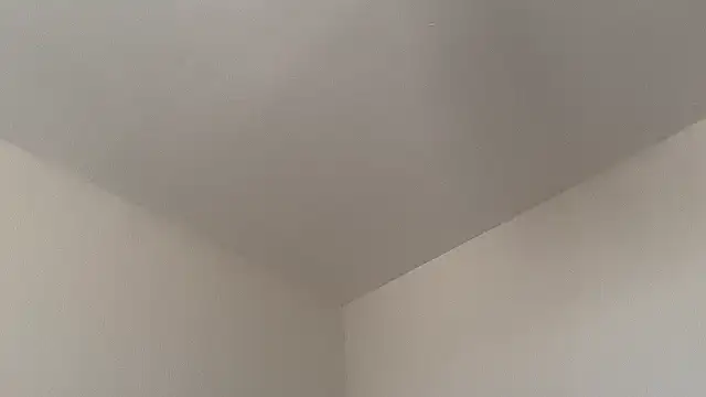 skyejde online show from February 14, 9:20 am