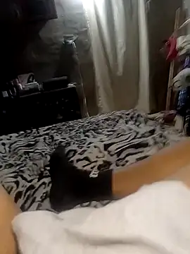 xxx dogg online show from December 18, 5:34 am