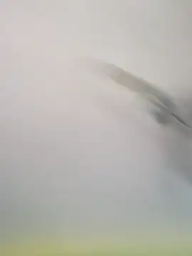 Snapshot of Yashkumar_0697 chatting on November 16, 8:19 am Yashkumar 0697 online show from November 16, 8:19 am