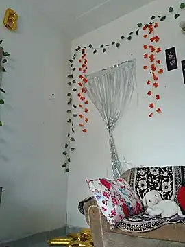 shnaz 1 online show from July 19, 2:31 am