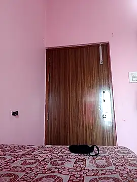 shnaz 1 online show from September 21, 9:25 am