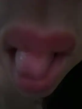 daianaspencer online show from April 13, 6:06 am