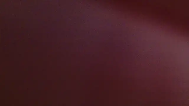 lissa palmer online show from November 12, 3:10 am