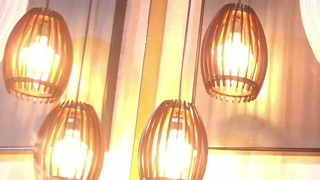 lissa palmer online show from November 30, 3:18 am