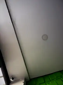 Snapshot of Dulce__Boyd chatting on November 7, 1:15 pm Dulce Boyd online show from November 7, 1:15 pm