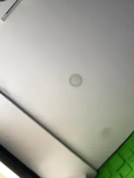 Dulce  Boyd online show from March 14, 2:34 pm