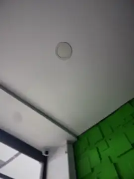 Dulce  Boyd online show from December 20, 1:47 pm