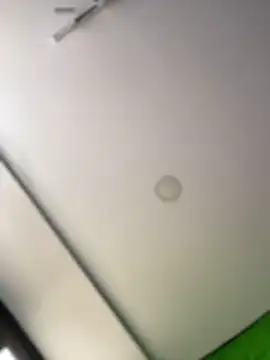 Dulce  Boyd online show from February 11, 2:39 pm