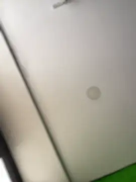 Dulce  Boyd online show from February 17, 2:03 pm