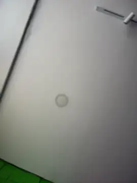 Dulce  Boyd online show from April 8, 2:18 pm