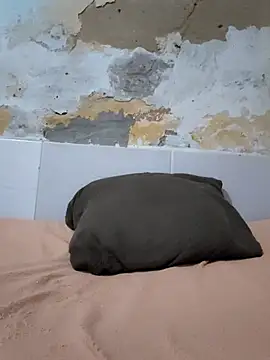 shuelldin online show from December 18, 2:27 am