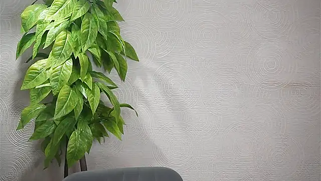 Snapshot of GwenBottrellv chatting on February 7, 9:48 pm GwenBottrellv online show from February 7, 9:48 pm