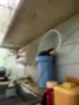 Carola-Ross online show from January 6, 4:33 pm