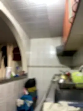 Carola-Ross online show from January 14, 3:37 pm