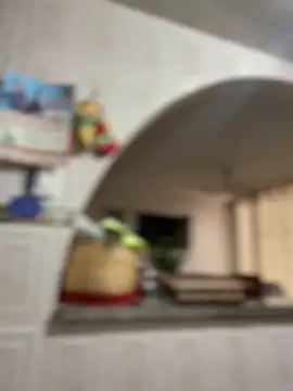 Carola-Ross online show from April 17, 5:38 pm