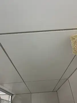 MateusBH123 online show from January 13, 2:37 am