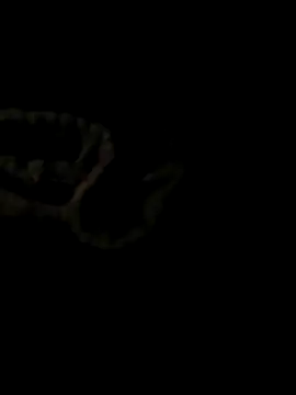 ShysluutGia online show from October 21, 9:25 pm