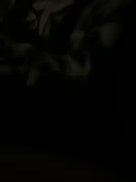 salma74779 online show from March 20, 11:45 pm