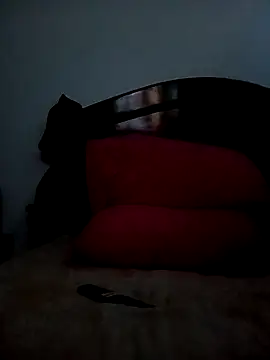 jhon 1988 24 online show from October 19, 8:11 pm