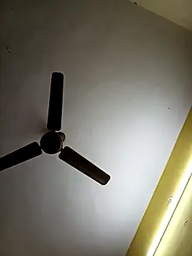 Thamarai28 online show from March 5, 12:40 am