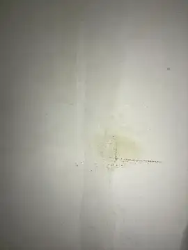 Snapshot of Hamza-Maroki chatting on November 21, 10:09 pm Hamza-Maroki online show from November 21, 10:09 pm