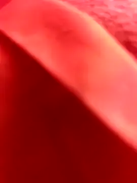 Nahuel141414 online show from February 25, 11:10 am