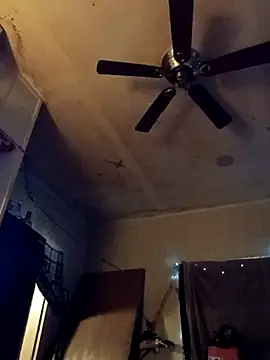 birdg online show from October 31, 3:41 pm