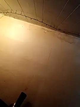 birdg online show from October 27, 7:15 pm