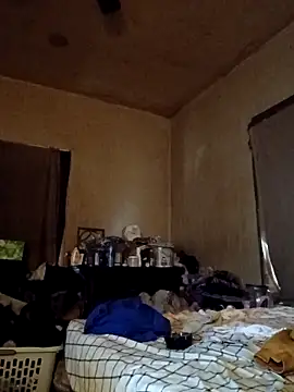 birdg online show from November 17, 4:55 pm