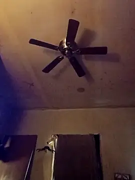 birdg online show from November 13, 6:12 pm