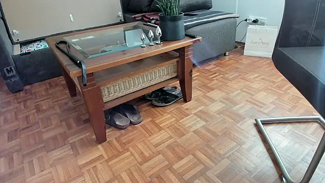 molicaremolicare online show from November 5, 8:28 am