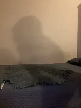 Budibudi5 online show from November 19, 4:56 am