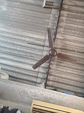 lovely----bhabhi online show from November 24, 3:39 am