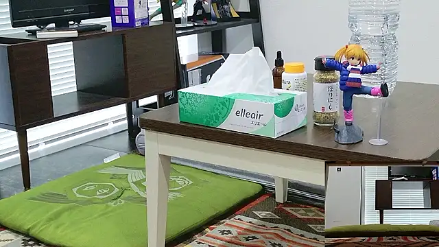 Snapshot of YARASERO-kun chatting on February 17, 3:26 am YARASERO-kun online show from February 17, 3:26 am