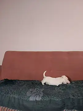 Snapshot of Jehan_Soto chatting on September 9, 5:11 pm Jehan Soto online show from September 9, 5:11 pm