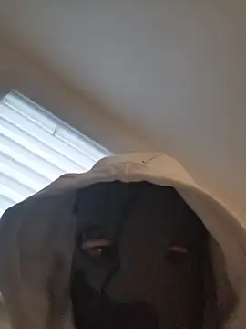 Bigdick420anal online show from February 4, 6:41 am