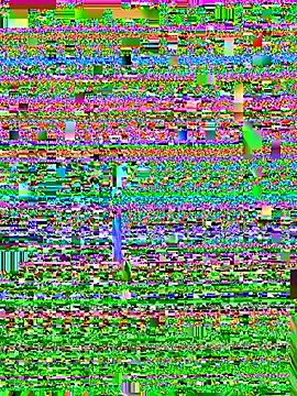 Mona Plus online show from March 31, 8:16 am