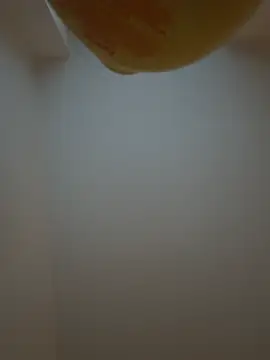 Bleueyez007 online show from February 10, 4:28 pm