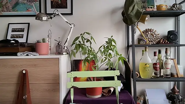 MikymikeBBWD online show from November 12, 11:47 am