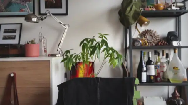 MikymikeBBWD online show from January 14, 10:41 am