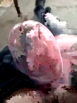 mar4oto1 online show from March 14, 11:38 am