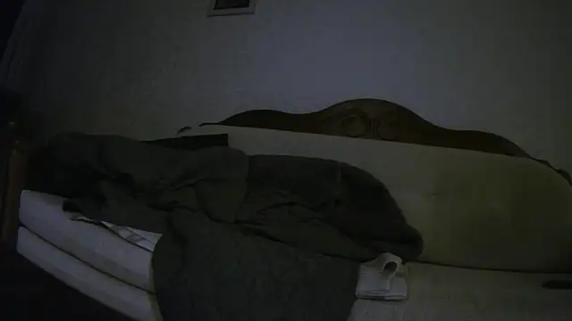 Teemu online show from March 19, 2:33 am