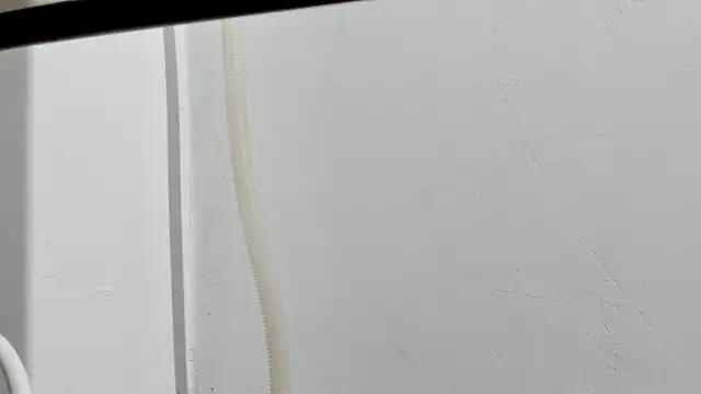 Aleshkastone online show from January 11, 3:41 pm