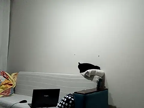 Snapshot of BellBort chatting on March 3, 7:43 pm BellBort online show from March 3, 7:43 pm