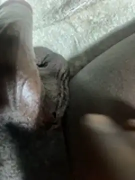 BlaccZhakky online show from January 14, 1:04 pm