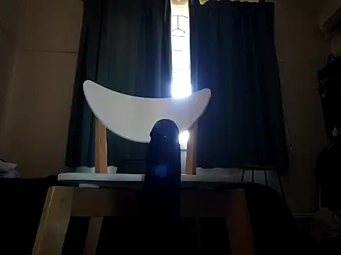 MystiqueRider online show from November 19, 6:35 am