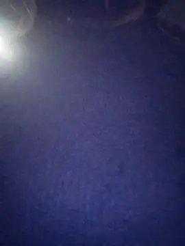 Snapshot of PPP_25 chatting on November 4, 7:50 pm PPP 25 online show from November 4, 7:50 pm