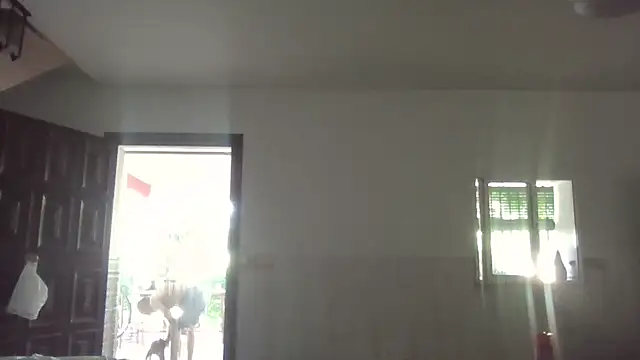 llopaco online show from July 1, 11:54 am